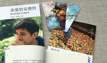 亲爱的安德烈读后感700字