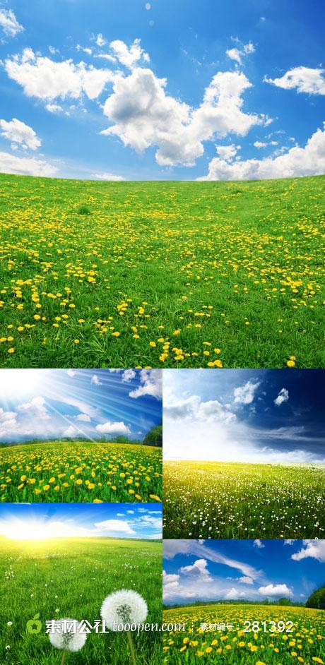 关于春田的组成