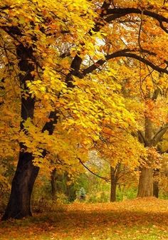 李开复成长的十个启示