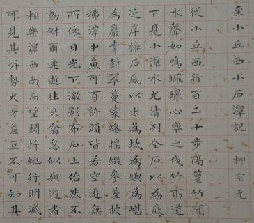 100农历新年旅行组成