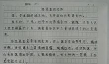 以责任为题的作文