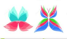 蝴蝶的颜色读后感