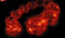 神獴效应读后感