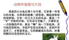 我喜欢的动物作文