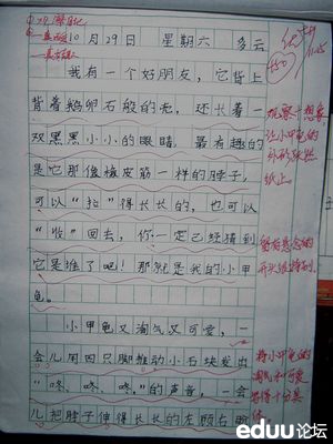 关于动物的三年级组成