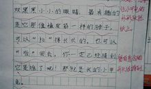 三年级关于动物的作文