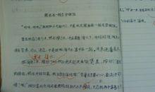 关于尝试的作文