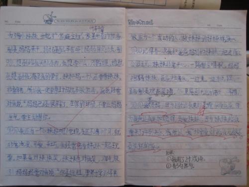 我三年级的作文