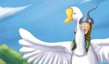 骑鹅历险记的读后感