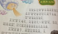 指间的太阳读后感