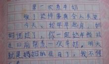 小学生500字日记