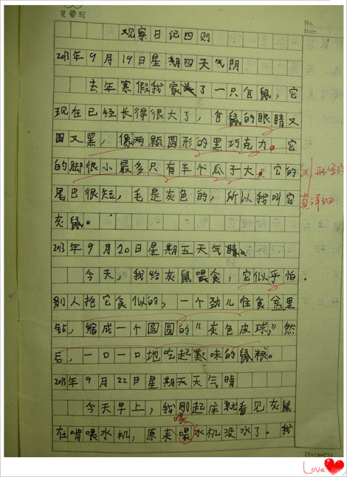 春节风俗作文500字