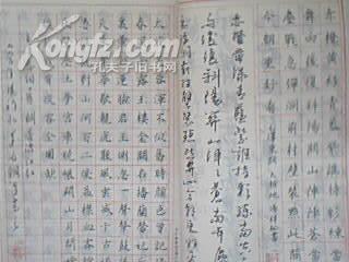 笔的自我报告构成