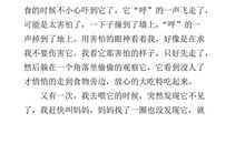 观察动物的作文400字