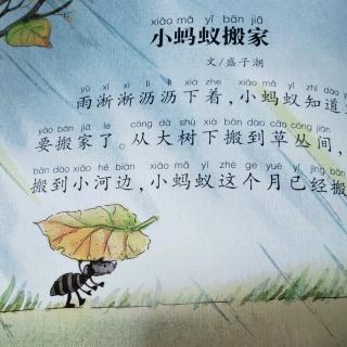 小蚂蚁移动组成