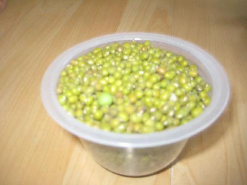 观察日记浸泡豆