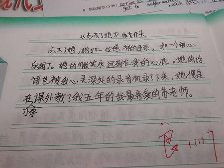钓鱼小学作文