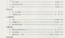 好一朵木槿花读后感