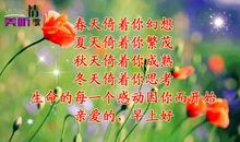 愿你最爱的人，也最爱你