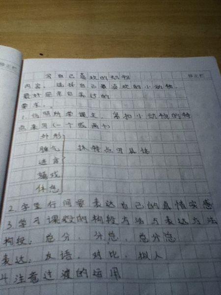 关于动物的组成