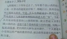 钓鱼的趣事作文