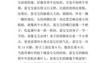 三年级观察日记