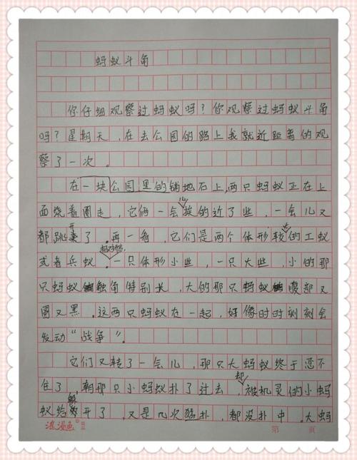 观察蚂蚁移动的组成