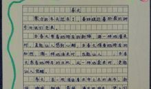 春天里作文600字