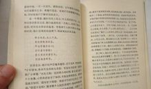 海滨故人读后感