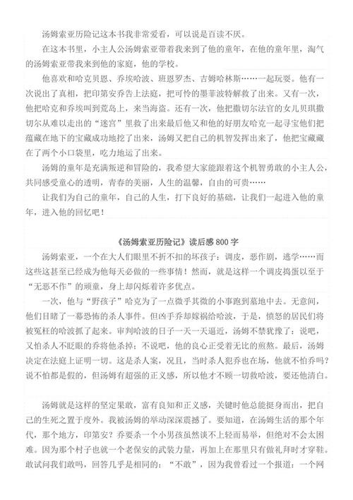 阅读汤姆·索耶冒险片段后的思考