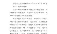 我的小秘密作文500字
