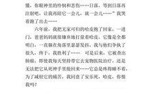 我的小秘密作文600字