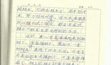 那些日子作文600字