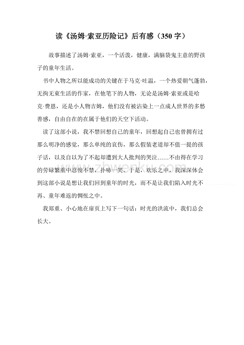 关于汤姆·索亚历险记的思考