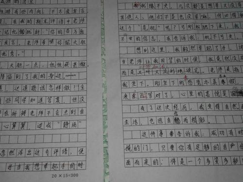 最难忘的东西600字