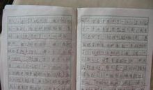 小学二年级日记大全