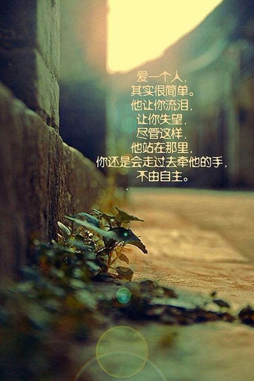 我说我不需要仁慈，但是我很感动