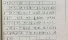 四年级日记大全