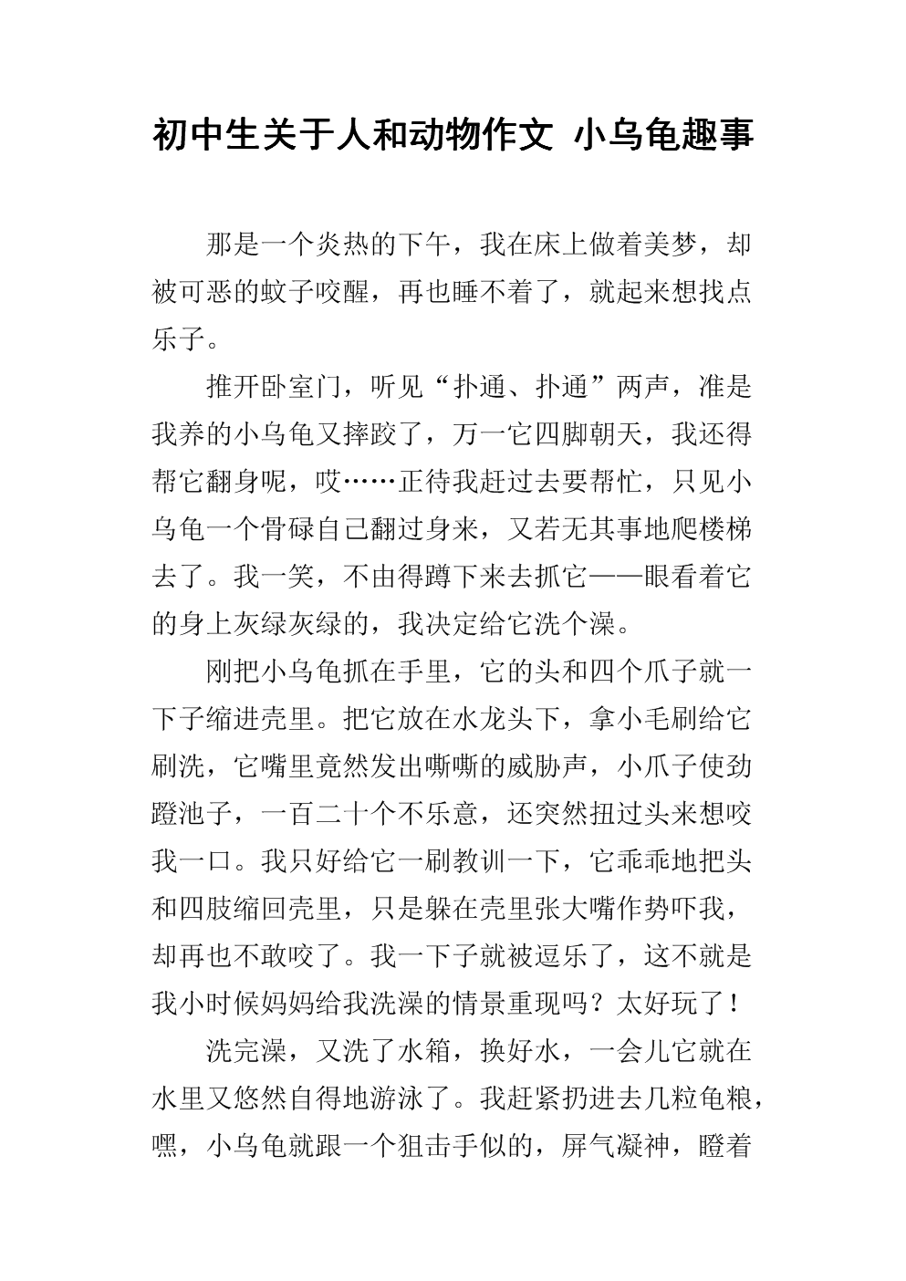 组成我的宠物小乌龟
