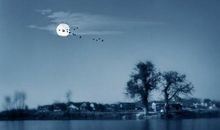 露从今夜白，月是故乡明