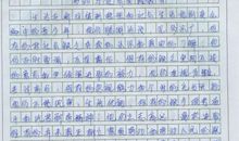 社会实践作文800字
