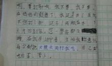 母爱的作文400字