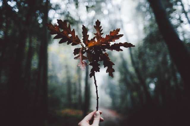 经典句:生活中,理解比爱更重要