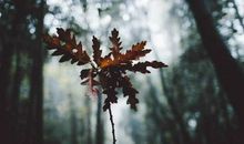 经典语句：人生中，懂比爱，更重要