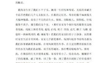 我的母亲高中作文