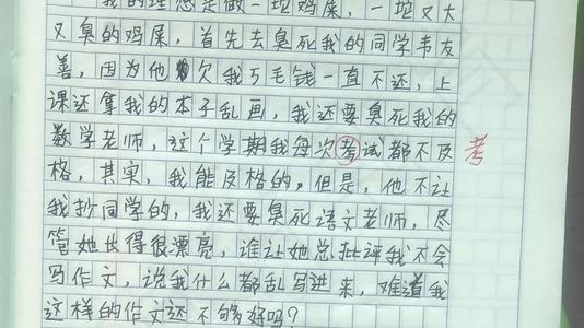 我的理想作文300字