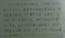 那双温暖的手初三作文