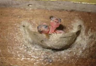 苦难不是生命的折磨