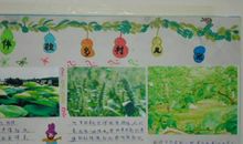 你是我心中最美的风景作文