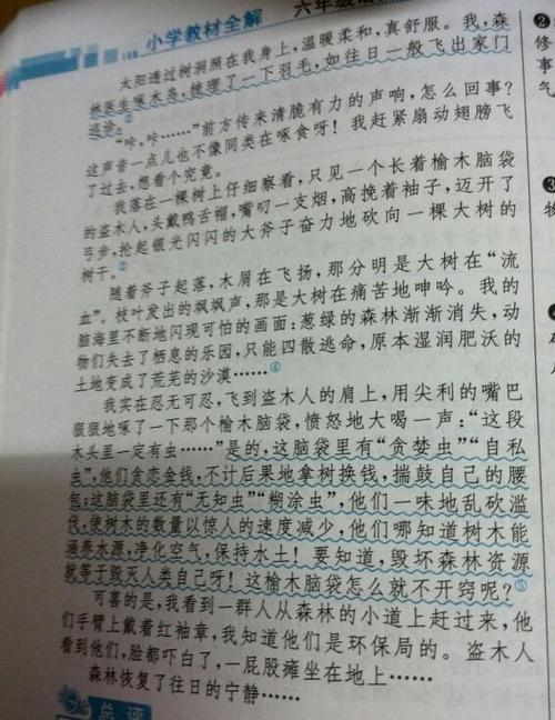 感恩节的朋友组成